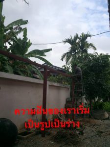 ทอมดี้คู่รัก (28)